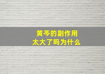 黄芩的副作用太大了吗为什么