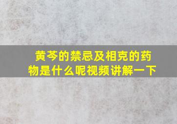 黄芩的禁忌及相克的药物是什么呢视频讲解一下