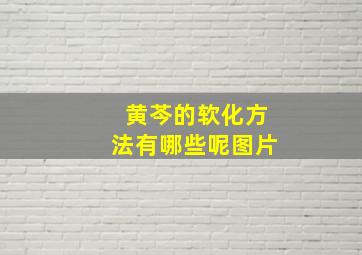 黄芩的软化方法有哪些呢图片