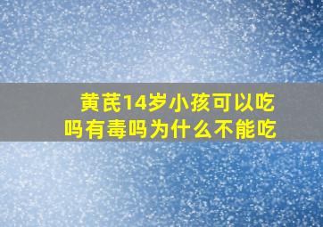 黄芪14岁小孩可以吃吗有毒吗为什么不能吃