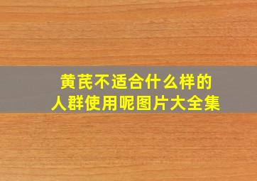 黄芪不适合什么样的人群使用呢图片大全集