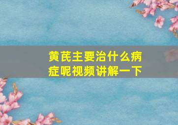 黄芪主要治什么病症呢视频讲解一下