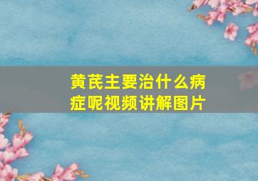 黄芪主要治什么病症呢视频讲解图片