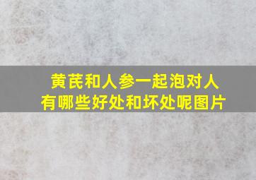 黄芪和人参一起泡对人有哪些好处和坏处呢图片