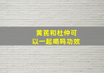 黄芪和杜仲可以一起喝吗功效