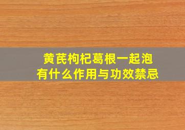 黄芪枸杞葛根一起泡有什么作用与功效禁忌