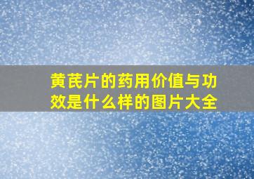 黄芪片的药用价值与功效是什么样的图片大全