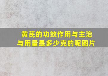 黄芪的功效作用与主治与用量是多少克的呢图片