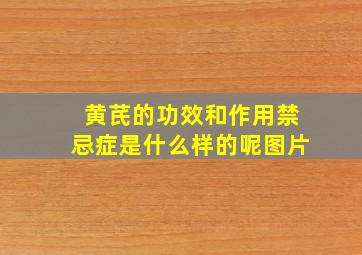 黄芪的功效和作用禁忌症是什么样的呢图片