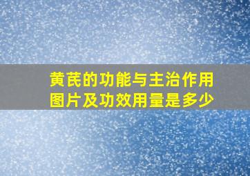 黄芪的功能与主治作用图片及功效用量是多少