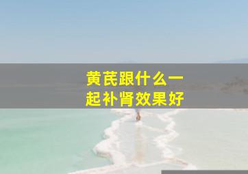 黄芪跟什么一起补肾效果好