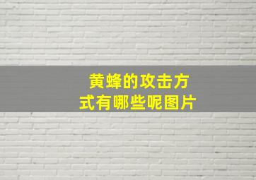 黄蜂的攻击方式有哪些呢图片