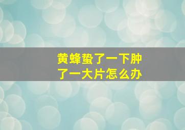 黄蜂蛰了一下肿了一大片怎么办