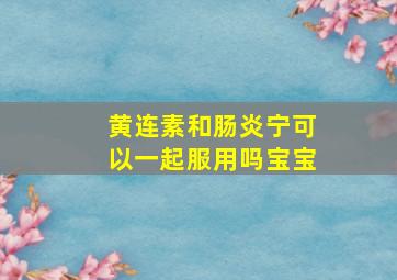 黄连素和肠炎宁可以一起服用吗宝宝