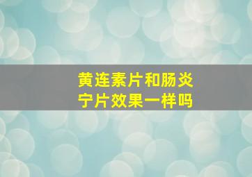 黄连素片和肠炎宁片效果一样吗