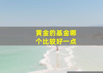 黄金的基金哪个比较好一点