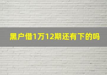 黑户借1万12期还有下的吗