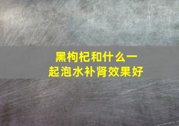 黑枸杞和什么一起泡水补肾效果好