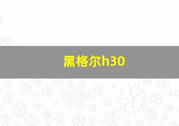 黑格尔h30