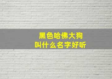 黑色哈佛大狗叫什么名字好听