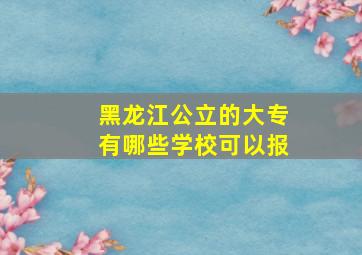 黑龙江公立的大专有哪些学校可以报