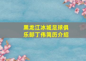 黑龙江冰城足球俱乐部丁伟简历介绍