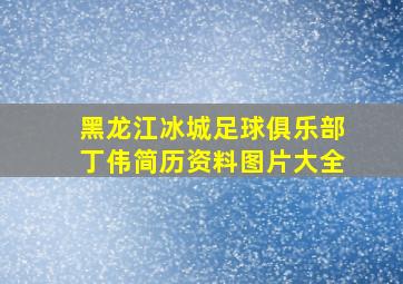 黑龙江冰城足球俱乐部丁伟简历资料图片大全