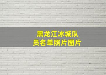 黑龙江冰城队员名单照片图片