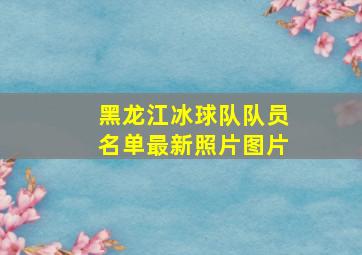 黑龙江冰球队队员名单最新照片图片