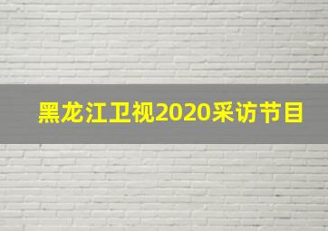 黑龙江卫视2020采访节目