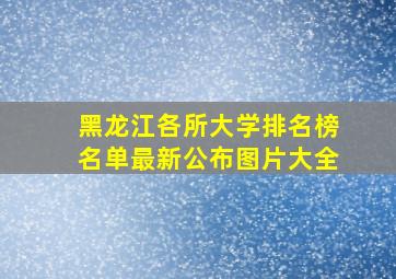 黑龙江各所大学排名榜名单最新公布图片大全