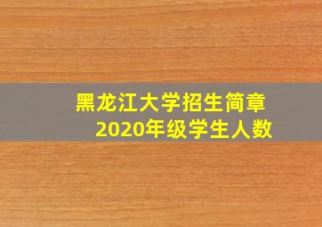 黑龙江大学招生简章2020年级学生人数