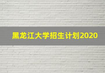 黑龙江大学招生计划2020