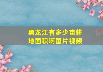 黑龙江有多少亩耕地面积啊图片视频