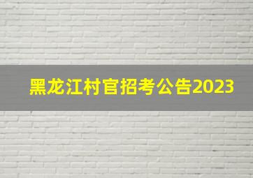 黑龙江村官招考公告2023