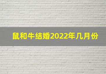 鼠和牛结婚2022年几月份