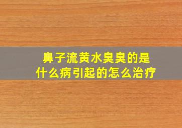 鼻子流黄水臭臭的是什么病引起的怎么治疗