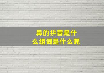 鼻的拼音是什么组词是什么呢