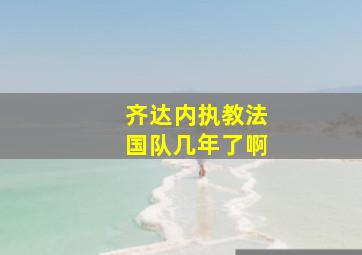 齐达内执教法国队几年了啊