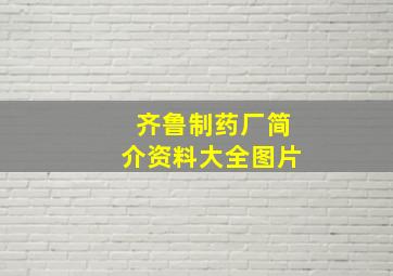 齐鲁制药厂简介资料大全图片