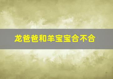 龙爸爸和羊宝宝合不合