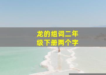 龙的组词二年级下册两个字