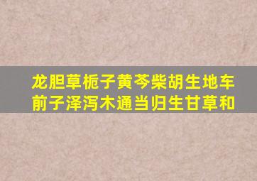 龙胆草栀子黄芩柴胡生地车前子泽泻木通当归生甘草和