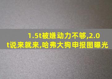 1.5t被嫌动力不够,2.0t说来就来,哈弗大狗申报图曝光