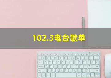 102.3电台歌单