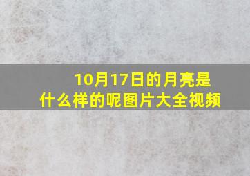 10月17日的月亮是什么样的呢图片大全视频