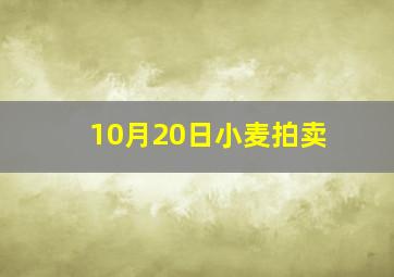 10月20日小麦拍卖