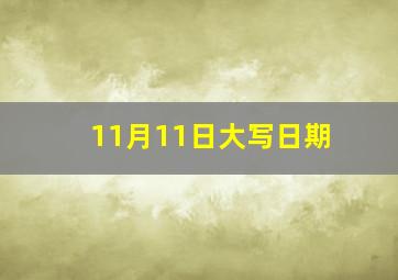 11月11日大写日期