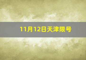 11月12日天津限号