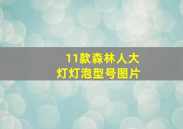 11款森林人大灯灯泡型号图片